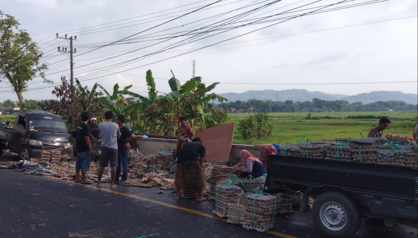 Sopir Pick Up Mengantuk, Ribuan Telur Ayam Pecah Berserakan di Jalan