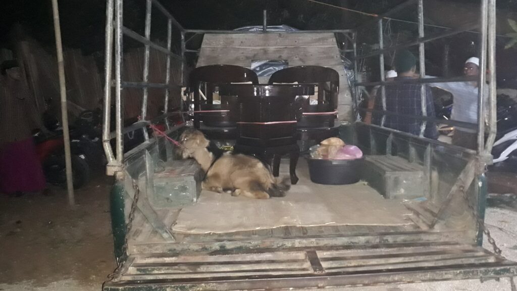 Unik ! Tradisi Tanam Pohon Pisang Saat Resepsi Pernikahan di Sampang Madura