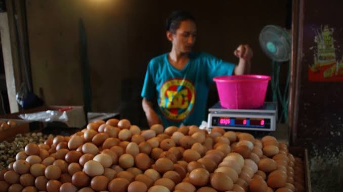 Harga Telur Ayam Turun di Pasaran, Ini Sebab Utamanya !