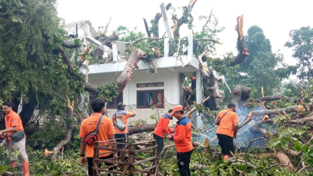 Pondok Pesantren Nurul Alam Sampang Tertimpa Pohon Tumbang