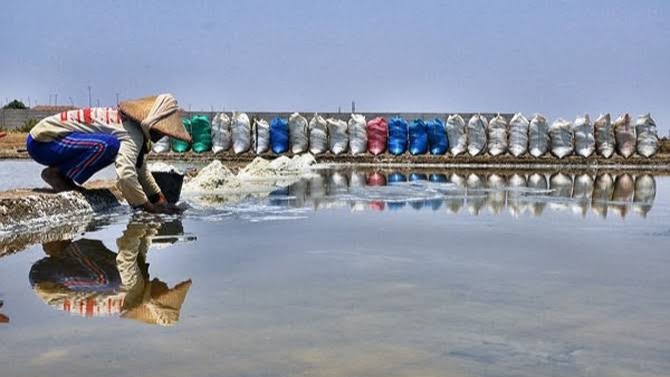 Tambak Ikan Jadi Pilihan Petani Garam di Musim Penghujan