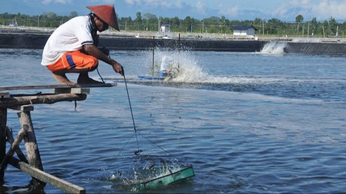 Ratusan Pembudi Daya Ikan di Sampang Masih Terkategori Usaha Mikro