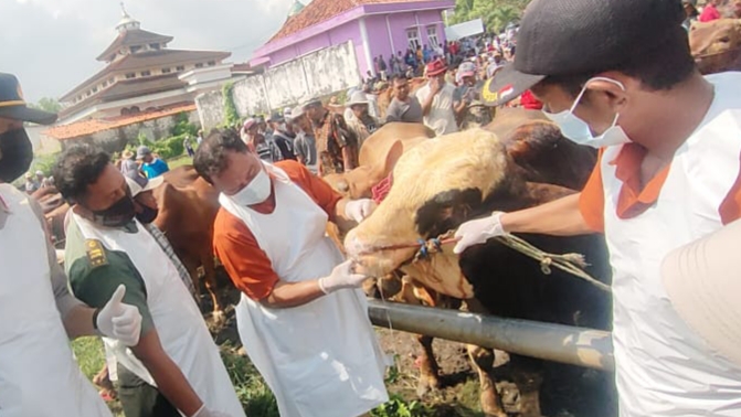 Usaha Disperta KP Jaga Sampang Tetap Bebas PMK Hewan Ternak