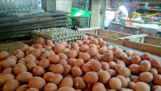 Kenaikan Harga Telur Ayam Tertinggi Selama 5 Tahun Terakhir di Sampang
