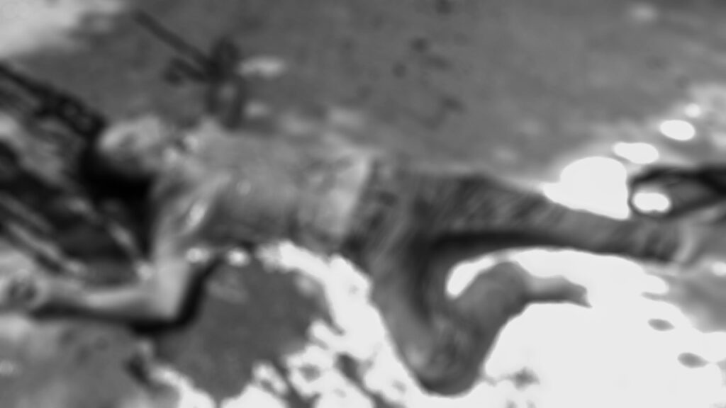 Seorang Pemuda Mati Bersimbah Darah di Banyuates Sampang