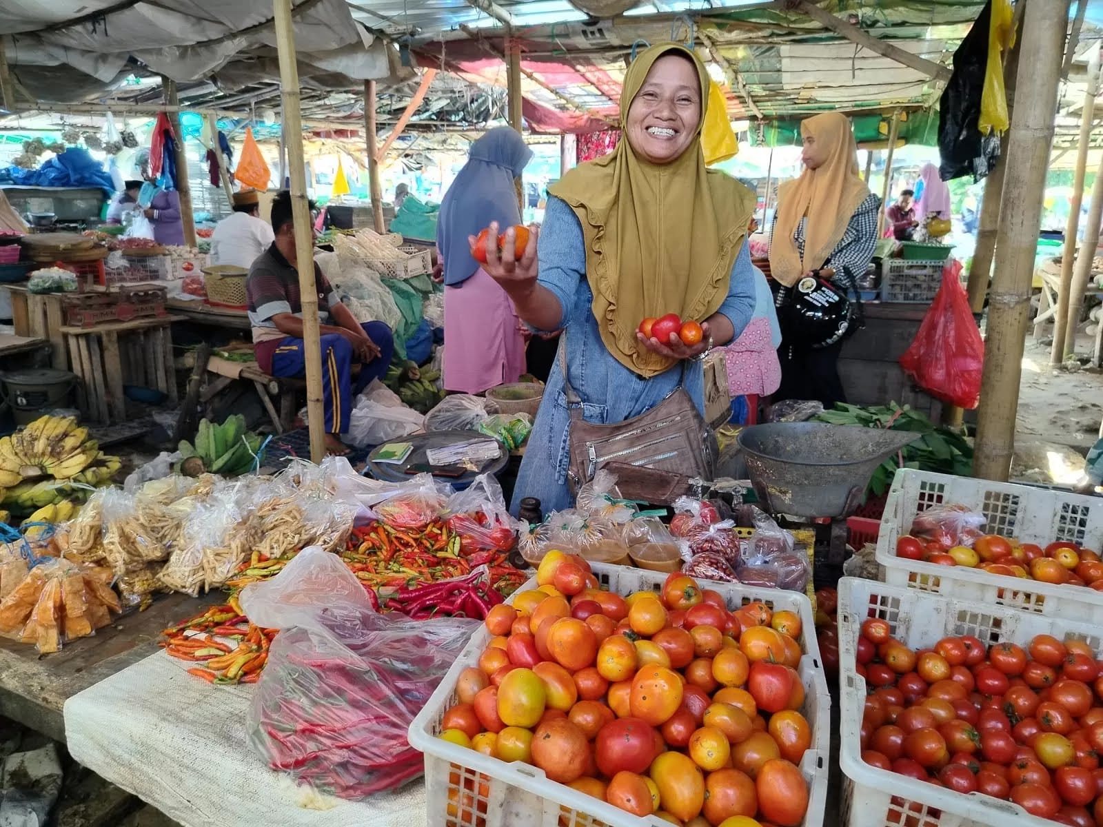 Harga Tomat Naik, Begini Penjelasan Disperindag Pamekasan