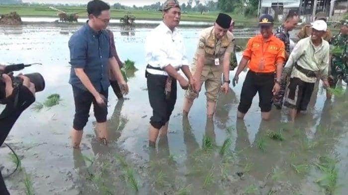 Mentan RI Targetkan Bangkalan Sumbang 40.000 Ton Beras Dalam Setahun