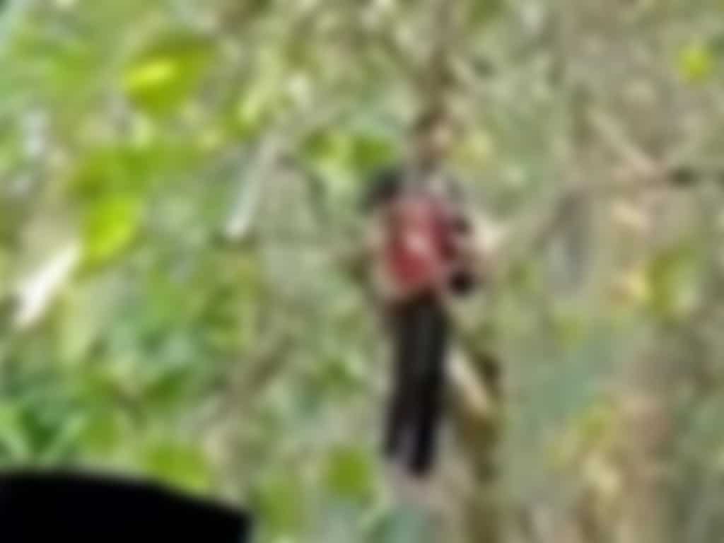 Diduga Depresi, Pria Asal Jawa Barat Nekat Gantung Diri di Sampang