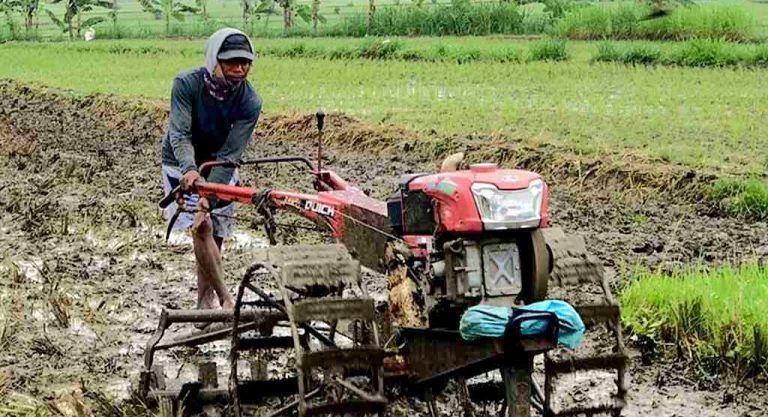 DKPP Pamekasan Akan Distribusikan 50 Hand Tractor Bulan Depan