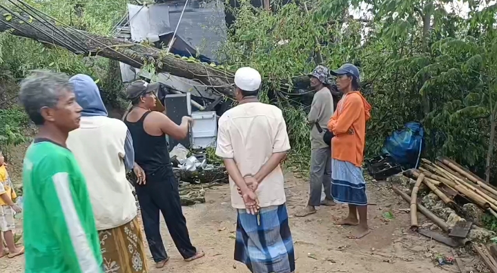 Pohon Tumbang Akibat Angin Kencang Timpa Rumah Warga di Sampang