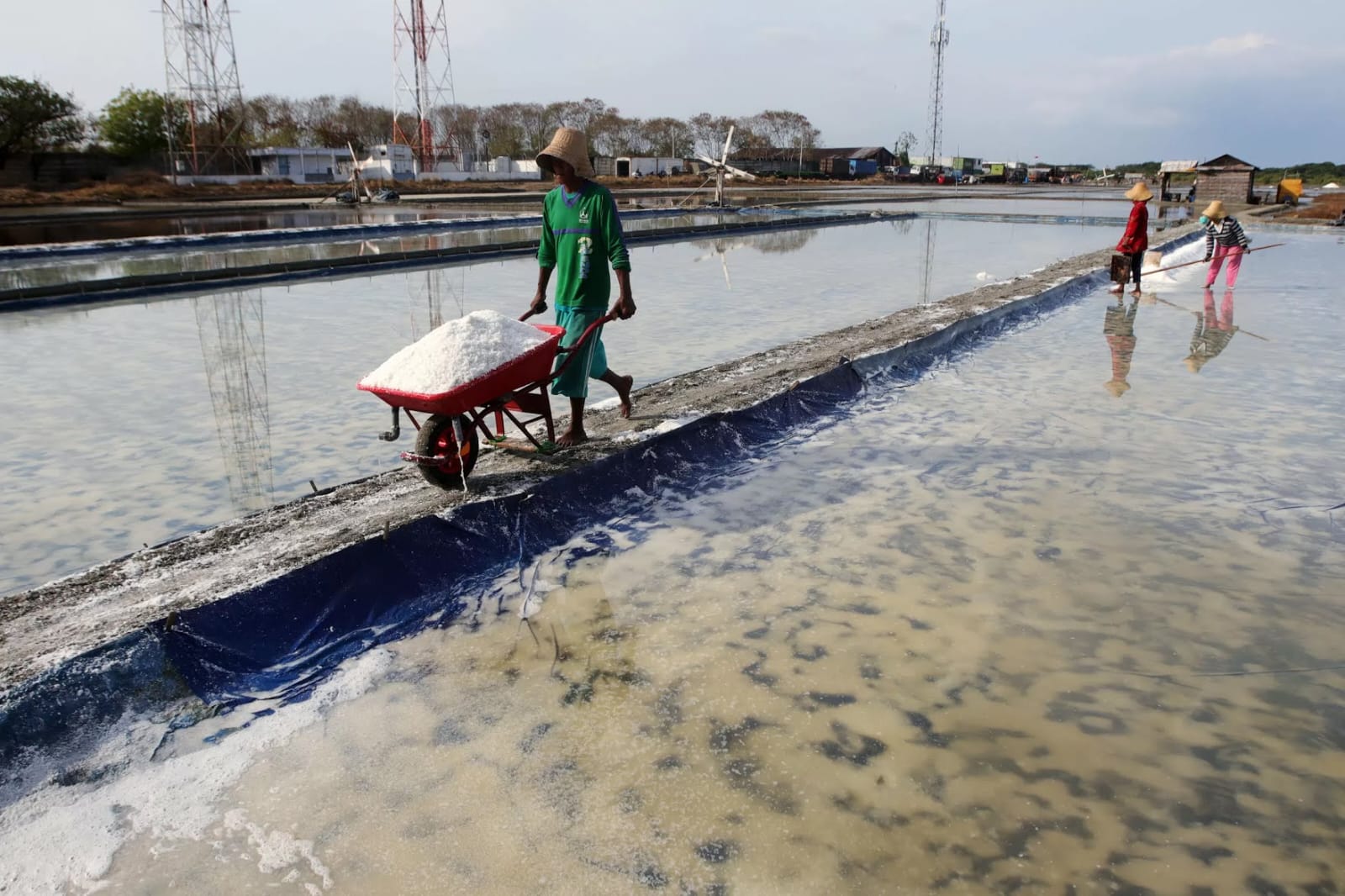 Harga Garam di Pasaran Anjlok, DKP Sampang: Itu Wewenang Pemerintah Pusat