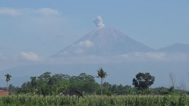 Gunung Semeru Kembali Erupsi, Letusan Capai 600 Meter