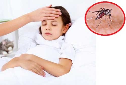 Tembus 704 Kasus, Dinkes-KB Sampang Imbau Masyarakat Tingkatkan Kewaspadaan