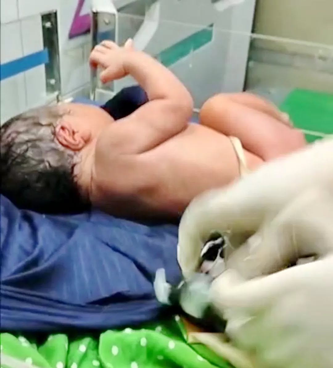 Dinsos P3A Sumenep Bakal Serahkan Bayi ke RSPAD Sidoarjo