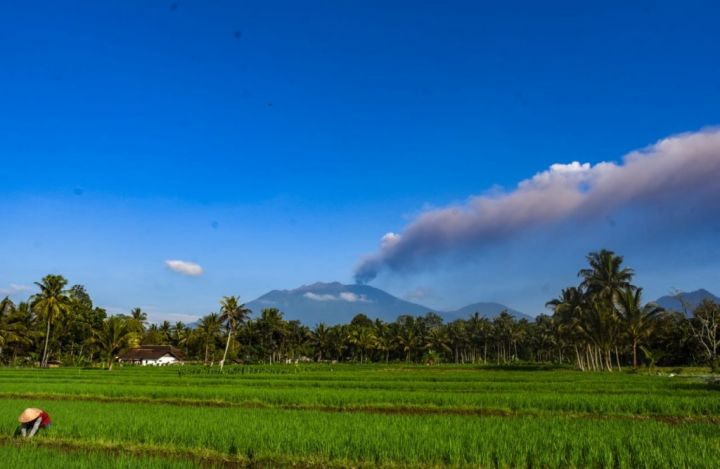 Gunung Raung Erupsi, Ketinggian Abu Sekitar 2.000 Meter