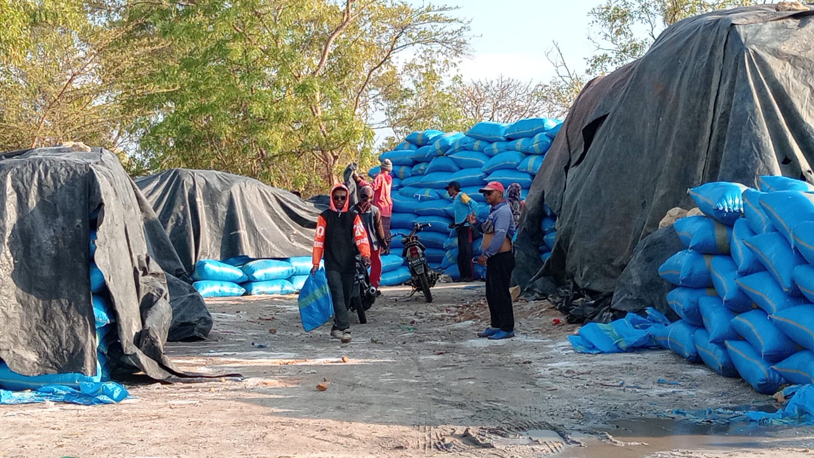 Transaksi Garam Sering Bermasalah, Petambak Tuntut Pengawasan Pemerintah