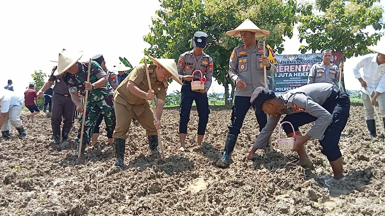 Dukung Penanaman Jagung 1 Juta Hektar, Forkopimda Sampang Siapkan 86 Hektar Lahan