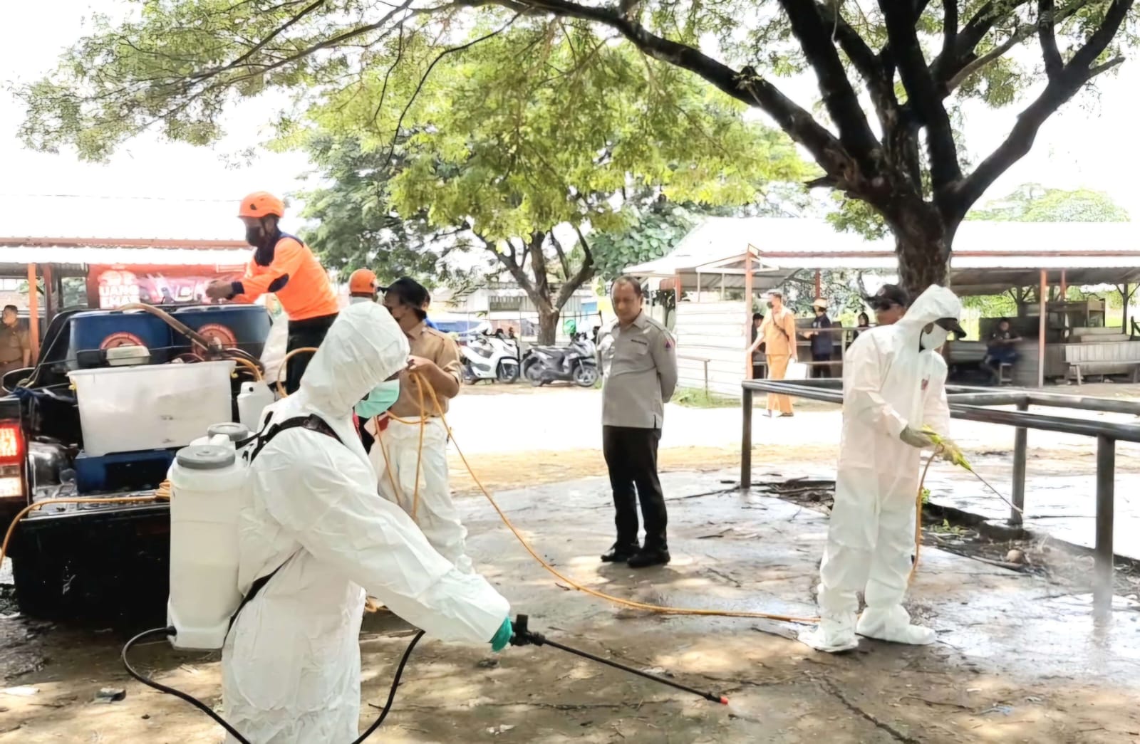 Jumlah Kasus PMK Tinggi, Gubernur Jatim Tetapkan Status Darurat