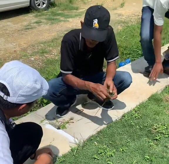 Datangkan Ahli Rumput Tinjau Kondisi Lapangan, PSSI Sampang: Belum Bisa Digunakan
