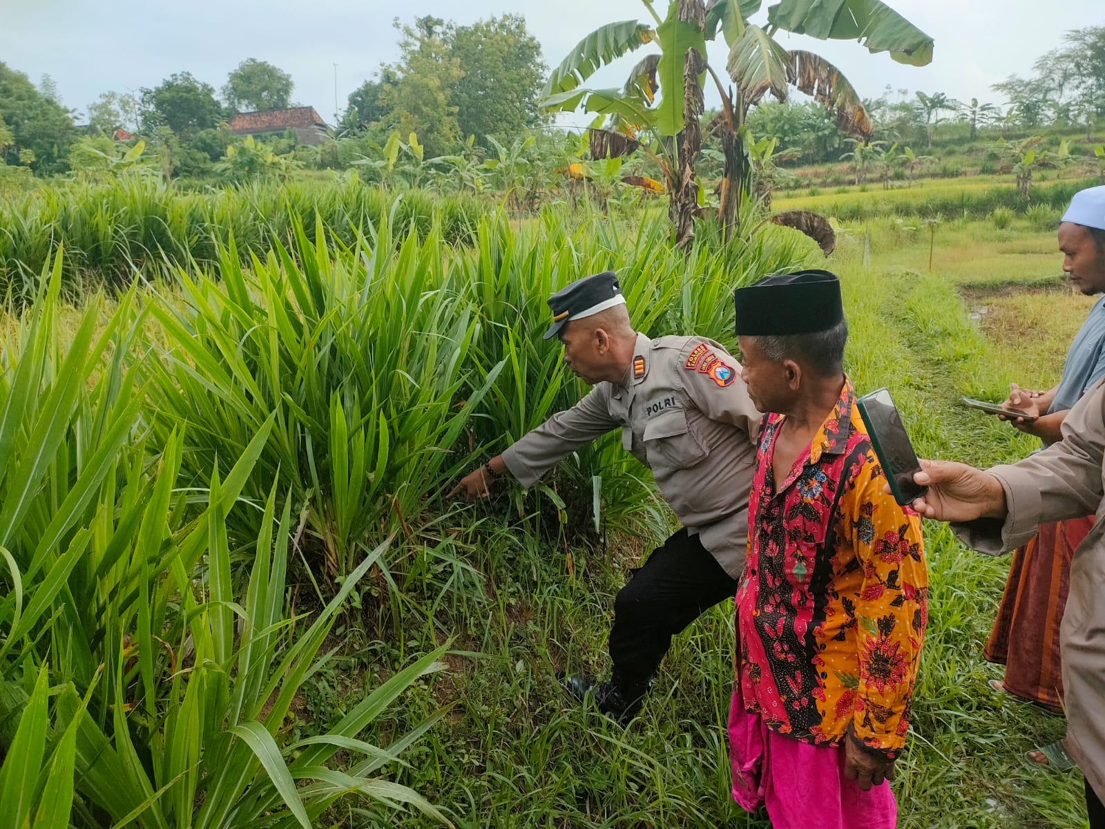 Cari Rumput, Warga Sampang Temukan Bayi Perempuan