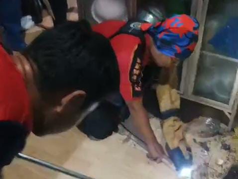 Petugas Damkar Sampang Amankan Ular Kobra di Rumah Warga