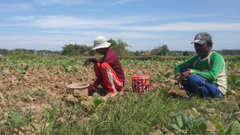 Pemkab Sampang Terima DBHCHT 2025 Sebesar Rp42 Miliar