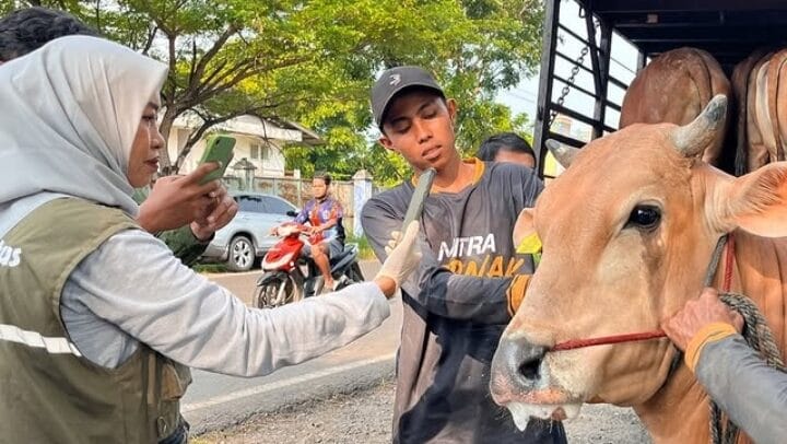Pengawasan Hewan Kurban di Sampang Diperketat Jelang Idul Adha