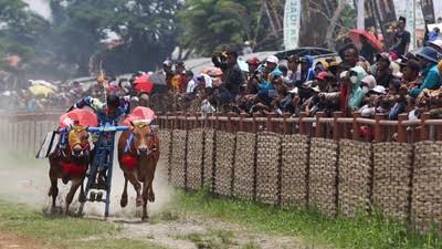 Sumenep Siap Gelar Karapan Sapi Piala Presiden 2025