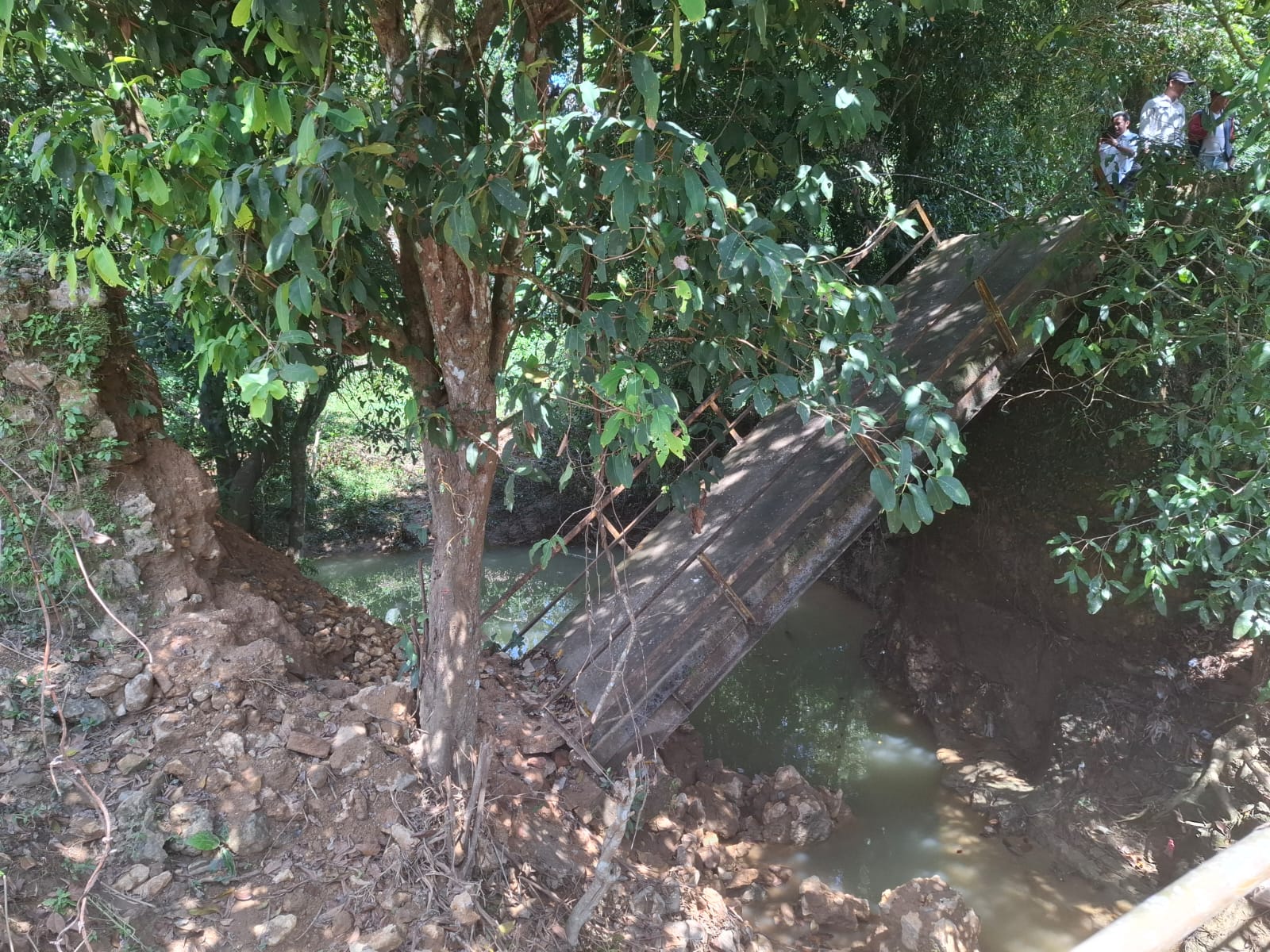 Hujan Intensitas Tinggi, Tebing dan Jembatan di Sampang Ambruk