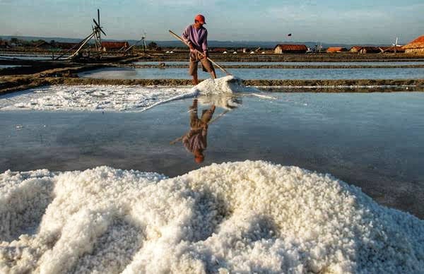 PT Garam Pastikan Tata Kelola Lahan Pegaraman Sesuai Prosedur