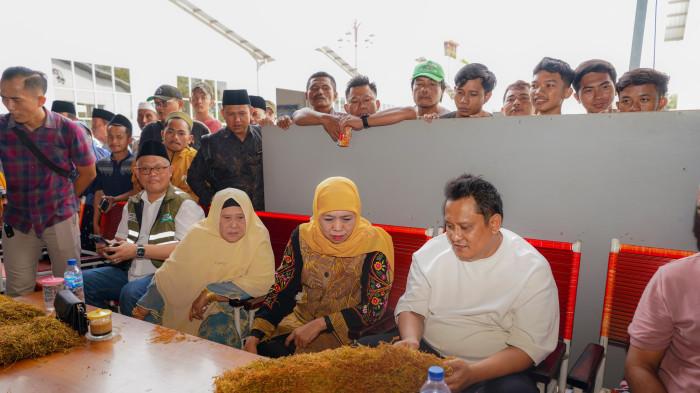 Haji Her Prediksi Harga Tembakau Melonjak Jika Sampai Pertengahan September Tidak Hujan