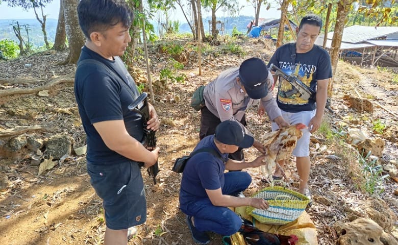 Polsek Sokobanah Gencar Bubarkan Judi Sabung Ayam