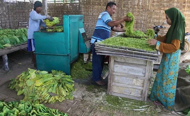 Serapan DBHCHT Sampang Baru 33 Persen, Sejumlah Program Tunggu Jadwal Pelaksanaan