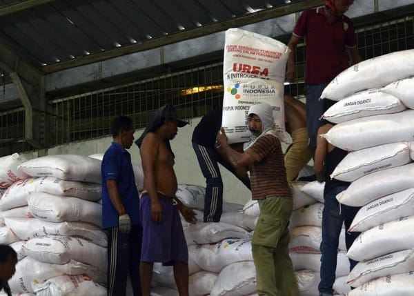 Masuk Triwulan Ketiga, Serapan Pupuk Subsidi di Sampang Belum Capai 30 Persen