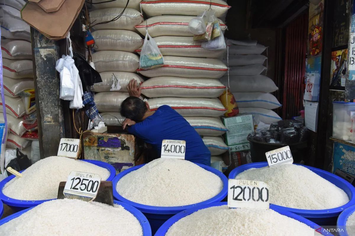 Harga Beras dan Pangan Pokok Turun per 13 September 2025