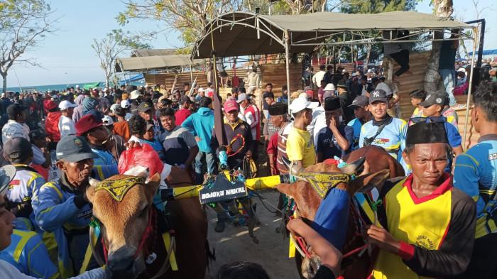 6 Tim Kerapan Sapi Sampang Lolos ke Piala Presiden 2025, Ada Nama Jet Metic Hingga Hajar Boss