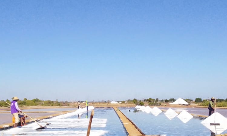 DKP Sampang Pesimis Target Produksi Garam Tahun 2025 Tercapai