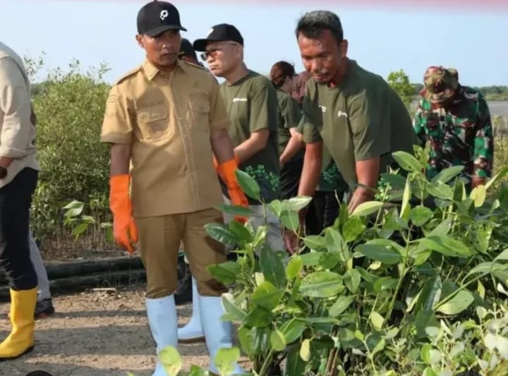 Bupati Bangkalan Ajak Warga Pesisir Jaga Mangrove