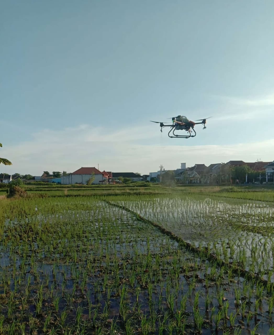 Petani di Sumenep Uji Coba Drone Pertanian, Percepat Penyemprotan Pestisida