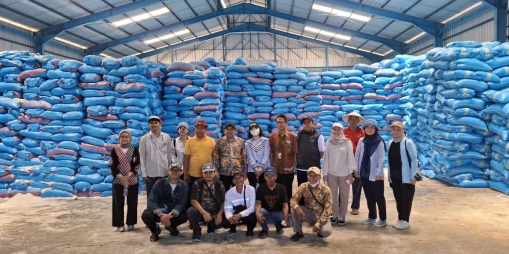 Produksi Garam Pamekasan Hanya 19 Ribu Ton, Merosot Tajam Dibanding 2023-2024