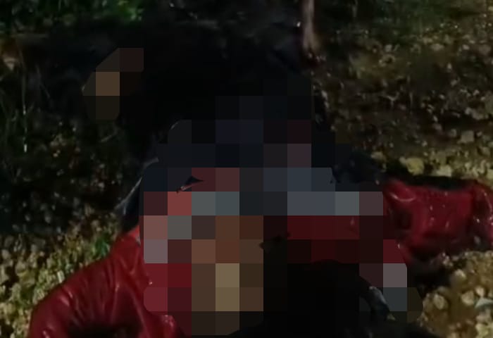 Kecelakaan di Omben Sampang, 2 Orang Meninggal di TKP