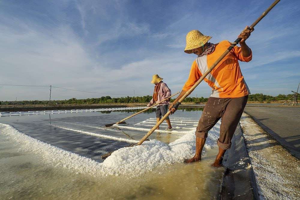 Produksi Garam di Sampang Tahun 2025 Terancam Tak Capai Target, Ini Faktornya
