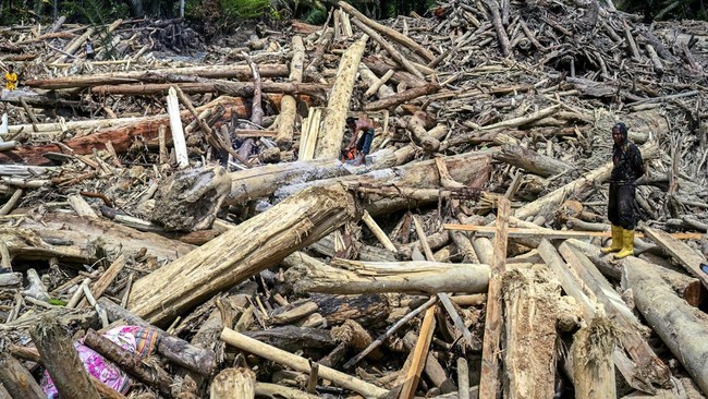 Polri Temukan Bekas Gergaji pada Kayu Gelondongan Terseret Banjir di Aceh–Sumatra