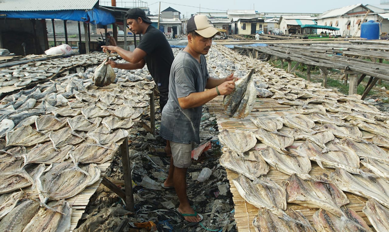 Minim Sinar Matahari, Produksi Ikan Asin di Sampang Anjlok Hingga 30 Persen