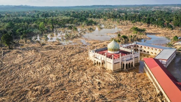 Bareskrim Polri Ungkap Dugaan Illegal Logging di Hulu Sungai Tamiang