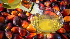 Jangan Salah Panaskan! Ini Panduan Memilih Minyak Goreng Berdasarkan Titik Asapnya