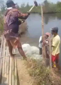 Tanggul Kali Silempeng Jebol Terjangseng Air Asin, Warga Depok Gotong Royong Selamatkan Sawah