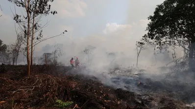 Anggota DPRD Mempawah Diduga Bakar Lahan, Kasusnya Resmi Naik ke Penyidikan
