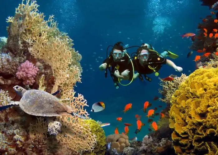 Mengapa Dunia Mengakui Raja Ampat dan Bunaken Sebagai Taman Laut Terbaik?
