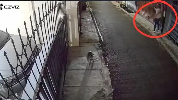 Polda Metro Usut Laporan Teror Bangkai Ayam